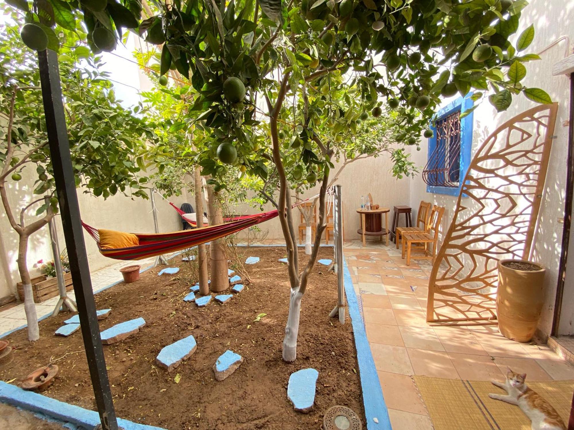 Red Carpet Surf Camp Sea, Mountain & Garden Escape Hotel Tamraght Exterior photo